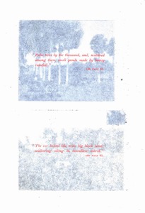 1909 Packard - El Toro-062.jpg